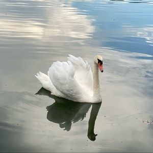 Meet your Posher, Louise